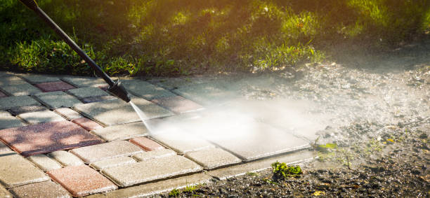 Trusted Escobares, TX Pressure Washing Experts